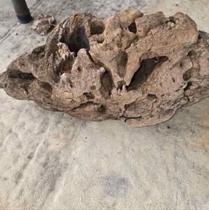 Organic Driftwood Aquarium Decor Brooks Bedrock Fresh Water Aquascape